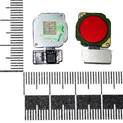 Шлейф Honor 8X + сканер отпечатка пальца красный Original Factory